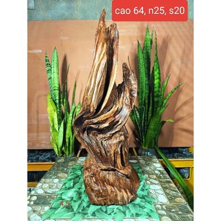 Lũa ngọc am đỏ hà giang