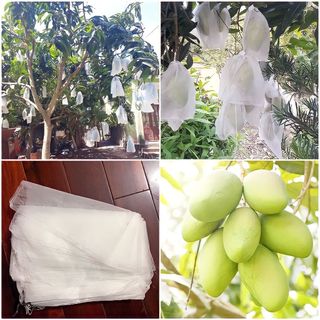 100 cái túi bao,bọc xoài ,nho,chùm nho, khổ qua,bơ 034...