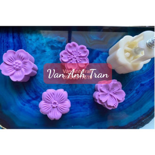 Bộ khuôn hoa anh đào 1 nhấn 4 mặt 50 gam