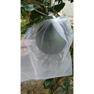 [35*40cm ]GIÁ RẺ 50 CÁI TÚI BỌC BƯỞI, TÚI BỌC NHÃN, NHO, CÁC LOẠI TRÁI CÂY KÍCH THƯỚC 33*40 Lưới