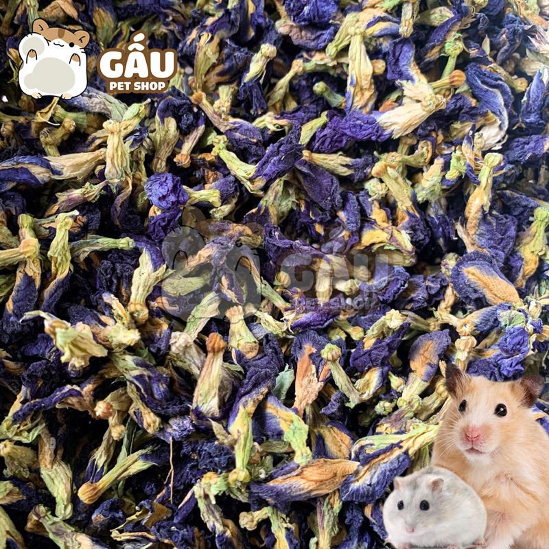 Hoa Đậu Biếc khô cho Hamster