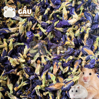 Hoa Đậu Biếc khô cho Hamster