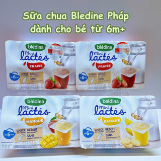 Sữa chua cho bé Bledina Pháp - Dành cho bé từ 6m+