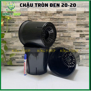 Chậu 20-20, Chậu nhựa đen tròn cứng khớp nối trụ - cây kiểng trầu bà; cây leo, hoa