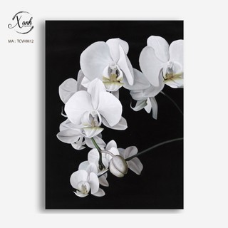 Tranh canvas treo tường hoa phong lan đen trắng tặng đinh treo tranh