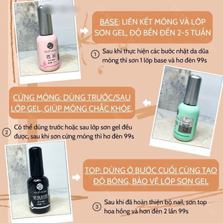 Base , Top , Cứng Móng HOA HỒNG