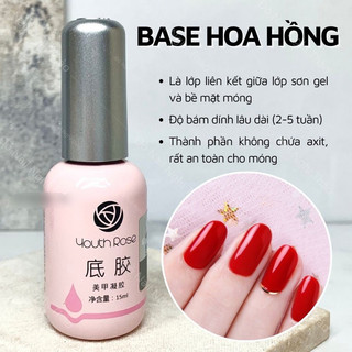 Base , Top , Cứng Móng HOA HỒNG