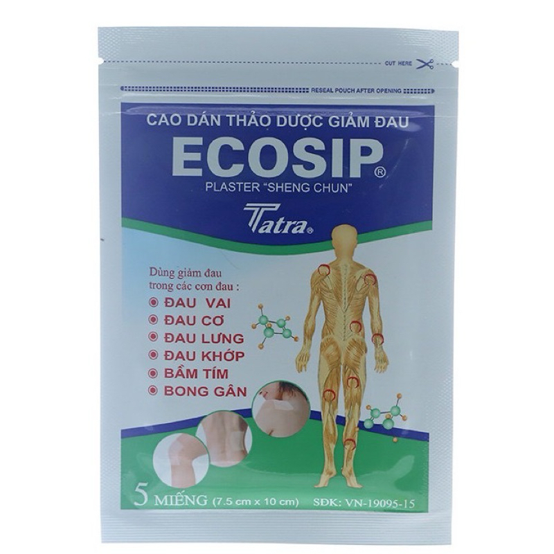 Cao dán Ecosip  giảm đau cơ xương khớp
