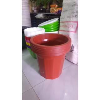 Combo 5 chậu ươm e330 + 5 đĩa lót chậu