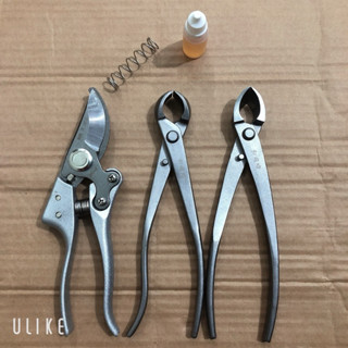 combo kìm cạp 21cm  dụng cụ bon sai cây cảnh làm vườn