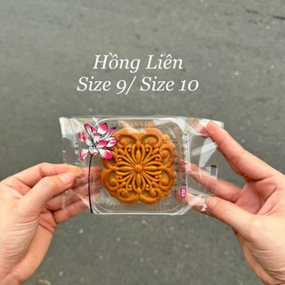Khay túi bánh trung thu 200g nhiều mẫu - 100 bộ
