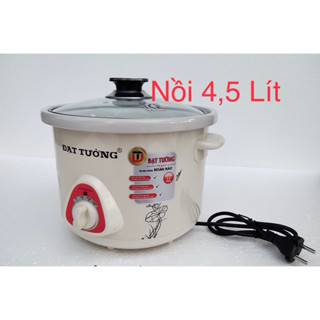 🪸Nồi Kho Cá - Nồi Nấu Cháo Chậm Đa Năng Đạt Tường 4,5 Lít- RAIKA2,5 L