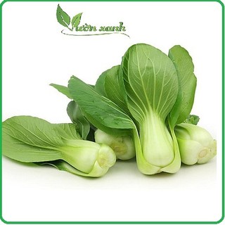Hạt giống cải chíp xanh lùn 20gr