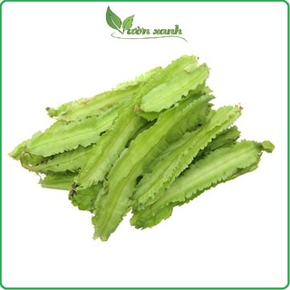 Hạt giống đậu rồng (đậu khế) nảy mầm tốt. 10gr