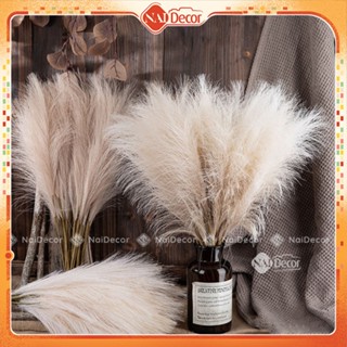 Cỏ Lau Giả, Cây Lau Sậy, Cỏ Lau Vải Pampas Nai Decor Trang Trí Nhà, Tiệc Cưới, Sự Kiện, Tiểu Cảnh, Chụp Ảnh Safari