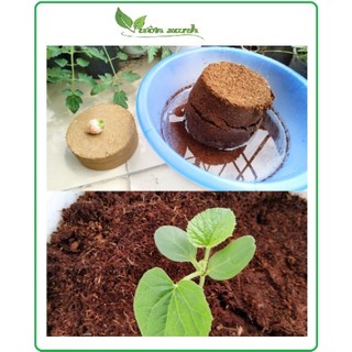 Viên nén mụn xơ dừa bánh lớn, đất xơ dừa nén viên dùng trồng rau, trộn đất trồng cây