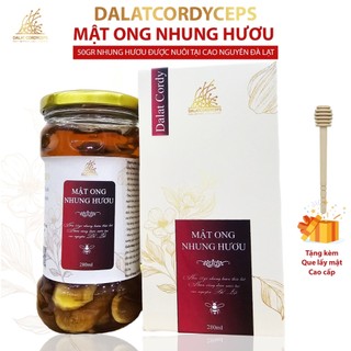 Mật ong ngâm nhung hươu - Hộp cao cấp - 280ml