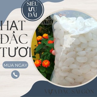 Hạt đác dẻo size ĐẠI VIP, dùng làm đác rim, nấu chè siêu ngon