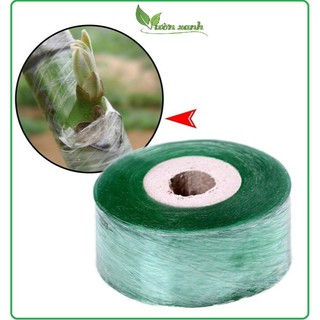 Băng nilon ghép cây chuyên dụng