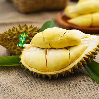 Sầu riêng Thái Tươi - FoodMap Fruits