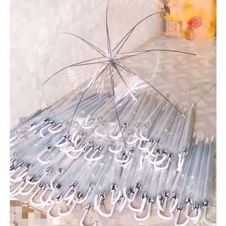 [Ô, dù trong suốt] chụp ảnh thời trang sống ảo, nhựa PVC đẹp, hàng VN bảo hành 3 tháng