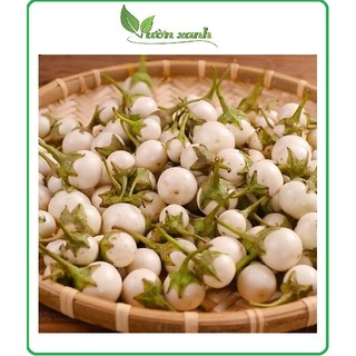 Hạt giống cà pháo trắng HN giòn, vị đặc trưng 0,5gr/ gói