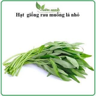 Hạt giống rau muống lá tre cao sản