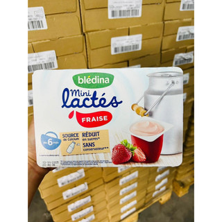Sữa Chua Bledina Pháp Cho Bé Từ 6M.