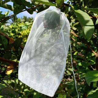 100 cái túi bao vú sữa 18x20 lưới mùng - hàng chính hãng Hoa Mai