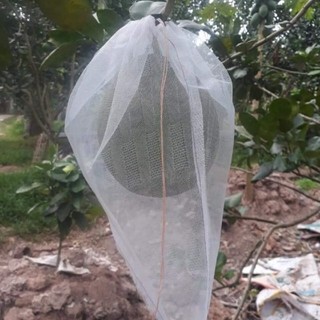 100 Túi bao trái Bưởi 30x35 lưới mùng - hàng chính hãng Hoa Mai