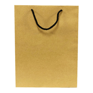Combo 100 Túi giấy có sẵn KT09 (KT: 30 x 21 x 10 cm)