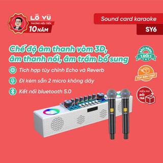 Sound card karaoke SY6, Chế độ âm thanh vòm 3D, âm thanh nổi, âm trầm, Đi kèm sẵn 2 micro không dây