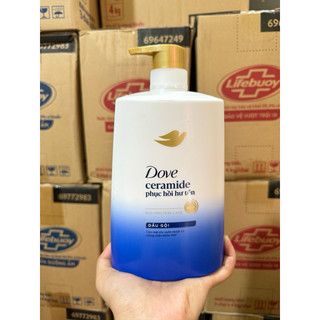 Dầu gội dove 880g