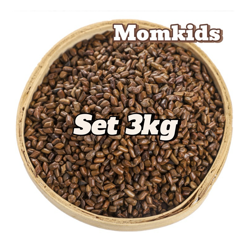 Combo 3kg hạt muồng cho bé chơi