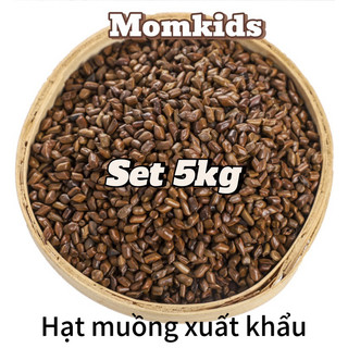 Combo 5kg hạt muồng xuất khẩu loại 1