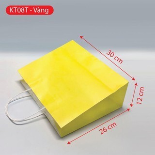 Combo 50 Túi giấy KT08T - nhiều màu (KT:26x30x12)