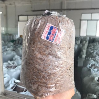 Combo 6 meo nấm rơm thần nông - tặng kĩ thuật trồng nấm