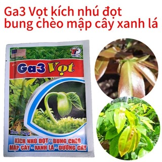 Phân bón Ga3 vọt kích nhú đọt bung chồi vọt đọt nhanh hiệu quả