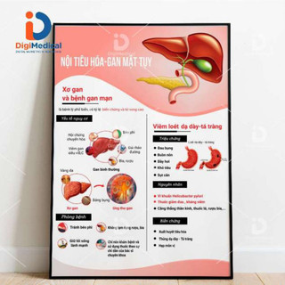 Tranh nội tiêu hóa gan mật tụy: sơ gan và bệnh gan mạn