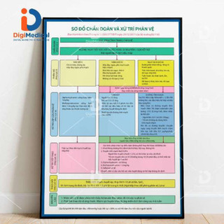 Tranh sơ đồ chẩn đoán và xử trí phản vệ
