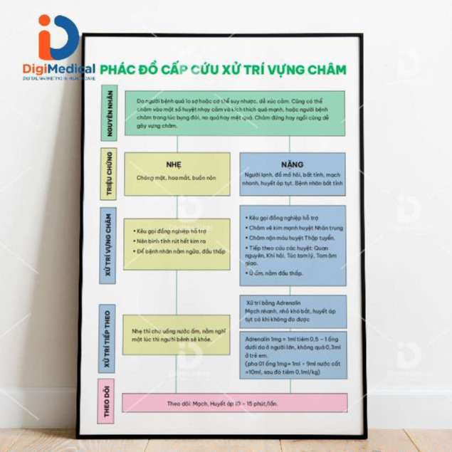 Tranh Phác đồ cấp cứu xử trí vựng châm