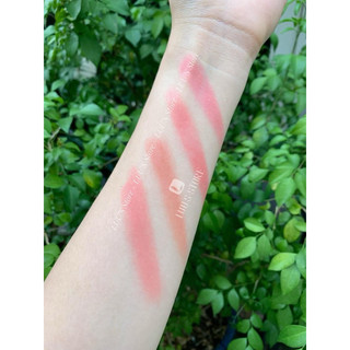 Bảng Má Hồng Inglottt