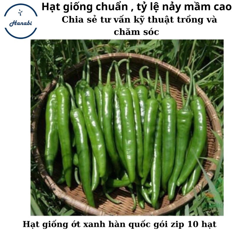 Hạt giống ớt xanh hàn quốc