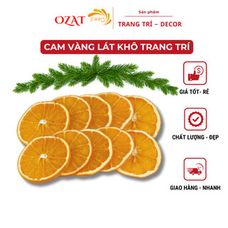 Cam vàng 5 lát khô đẹp trang trí bánh kem decor chụp ảnh quà tặng hoặc trang trí noel cây thông