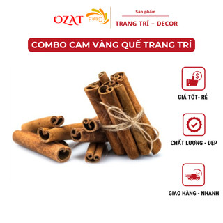 Bó quế thanh khô 5 cây đẹp trang trí decor bó lựa chọn kích thước theo phân loại