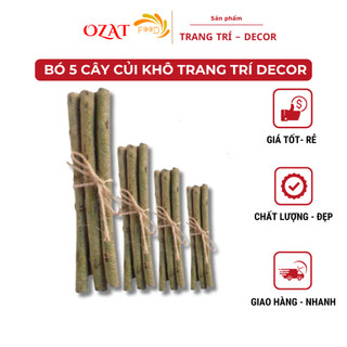 Bó củi khô 5 cây trang trí decor làm phụ kiện chụp ảnh đường kính ngẫu nhiên | OZAT FOOD