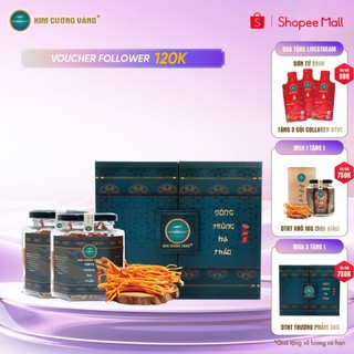 Quà tặng đông trùng hạ thảo khô thượng phẩm giải độc gan tăng đề kháng kim cương vàng combo 30 gram