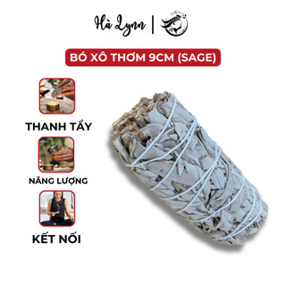 Bó xô thơm 9cm thanh tẩy, xô thơm trắng - white sage | Hà Lynn