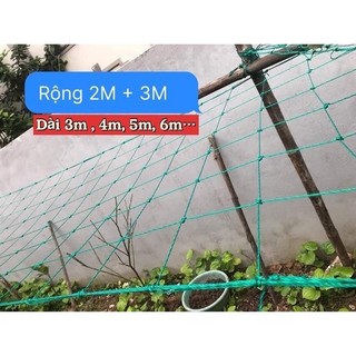 Lưới Làm Giàn Leo, Lưới Giàn Mướp [ Khổ Rộng 2M - Dài 3M ]  Giá Rẻ Nhất Thị Trường