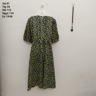 ĐẦM HOA NHÍ PHOM RỘNG